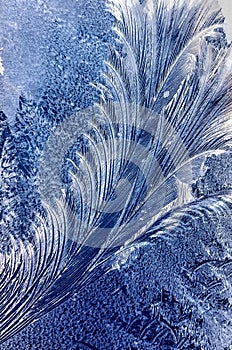 Frost on Window that Looks Like A Feather