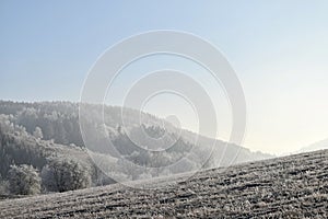 Frostbitten landscape, blue sky.