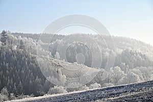 Frostbitten landscape, blue sky photo