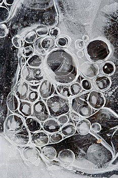 Frostbound bubbles like grapes