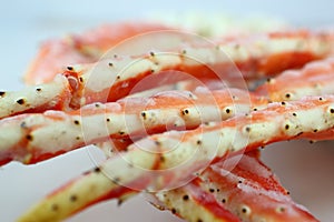 frosted Alaska king crab legs closeup photo on white table background