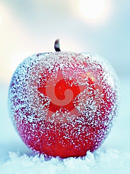 Frosted Christmas apple on snow