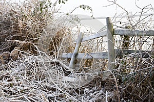 Frosted country fence, Somerset, UK