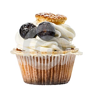 Frosted cupcake with sugared blueberries, isoleted on white