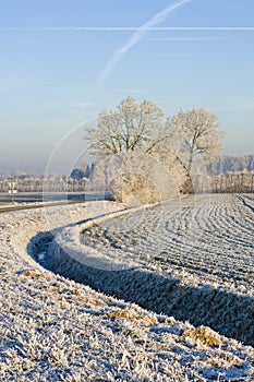 Frosted field