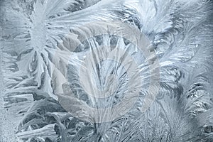 Frosted hoarfrost on the window