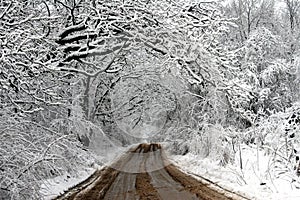 Frosted Lane