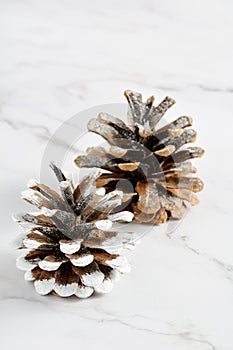 Frosted pine cones