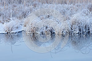 Frosted Shoreline