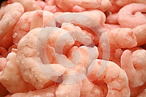 Frosted shrimp or prawn