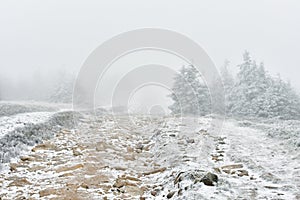 Frosted stones on the way to the top of Mount Snieznik on a hiking mountain trail, winter landscape on a foggy day
