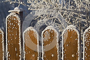 The frosted, wooden fence