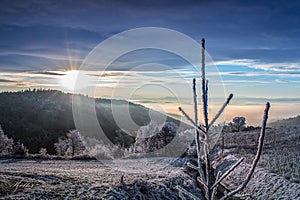 Frosti Wintermorning landscape photo