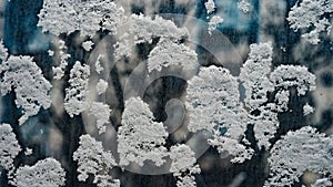 Frostwork. Decorative crystals of ice and snow on the window against the background of the city and sky. Frosty pattern. Ice