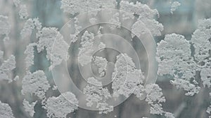 Frostwork. Decorative crystals of ice and snow on the window against the background of the city and sky. Frosty pattern. Ice