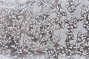 Frostwork on a window glass photo