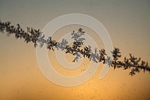 Frosty Abstract Background