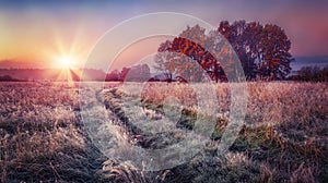 Frosty autumn landscape at sunrise on meadow. Colorful scenery autumn with hoarfrost on the grass and bright sun on horizon. Fall