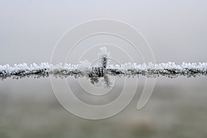 Frosty barbed wire fence abstract