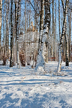 Frosty birch trees on a sunny day Church and snow-covered birches on a sunny day