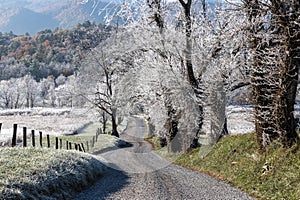 A Frosty Cades Cove