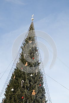 Frosty Christmas tree outdoors