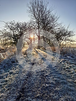 Frosty countryside path on a sunny morning