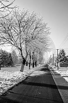 Frosty day where everything is frostbitten and the sky is clear