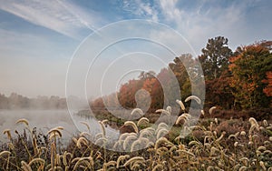 Frosty Fall morning on the marsh as fog rises