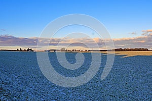 Frosty farmland dawn panoramic, in February