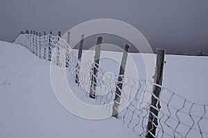 A frosty fence on a gray morning