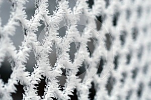 Frosty fence - winter texture
