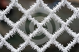 Frosty fence - winter texture