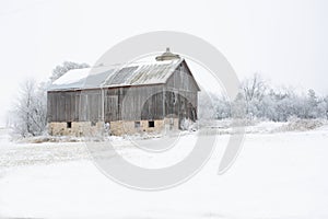 Frosty and foggy winter day with an old barn
