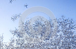 Frosty frozen patterns on the window photo