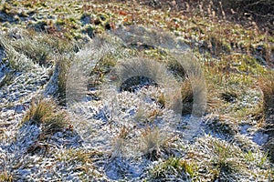 Frosty grass with frozen dew drops on moorland in winter sunshine, blurred background