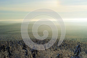 A frosty haze and a solar halo over the forest