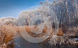 Frosty misty morning on the rive