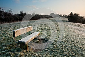 Frosty Morning in England