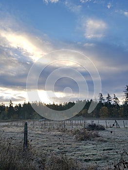 Frosty Morning at the Farm