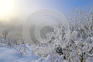 Frosty Morning on the lake, fog and frost on the grass.