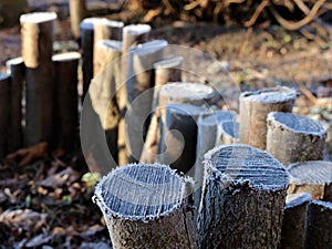 Frosty morning in a rustic landscape