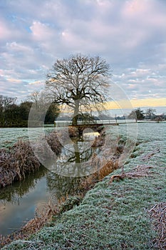 Frosty morning, tree river reflections