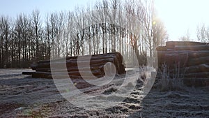 Frosty morning winter sunrise in countryside with path, trees and logs