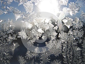 Frosty natural pattern on glass