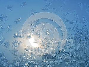 Frosty natural pattern and sun