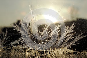 frosty natural pattern and sun on winter glass