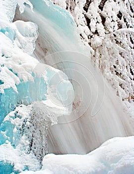 Frosty nature in winter day