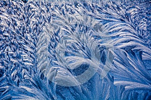 Frosty pattern on the window.