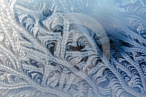 Frosty pattern on the window.